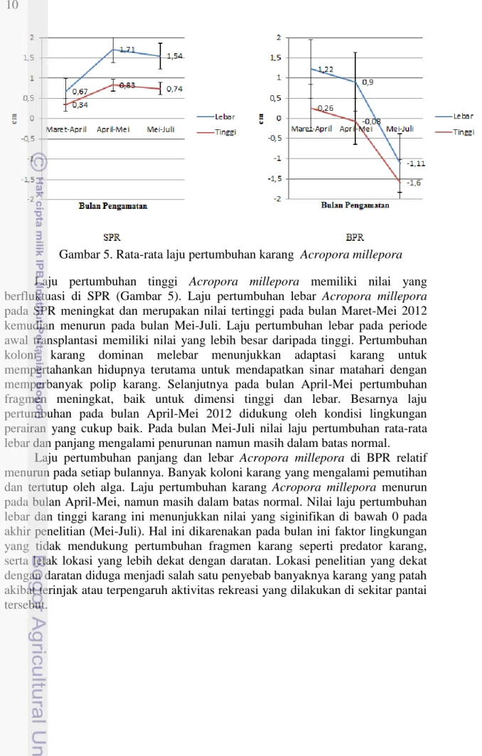 Gambar 5. Rata-rata laju pertumbuhan karang  Acropora millepora  Laju  pertumbuhan  tinggi  Acropora  millepora  memiliki  nilai  yang  berfluktuasi  di  SPR  (Gambar  5)