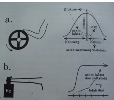 Gambar 2.1. Kerja Otot Dinamik (a) dan Kerja Otot Statik (b)  (dalam Sritomo Wignjosoebroto 2003) 