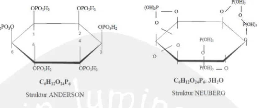 Gambar 3. Struktur yang diusulkan untuk asam fitat (Oberleas, 1977) Asam  fitat  dapat  pula  bereaksi  dengan  protein  membentuk  suatu senyawa  kompleks