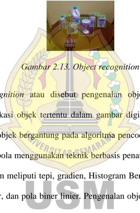 Gambar 2.13. Object recognition 