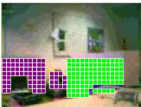 Gambar 11.  Hasil Pemrosesan Gambar Menggunakan Algortima Griding   (Sumber :  Havimo image processing module