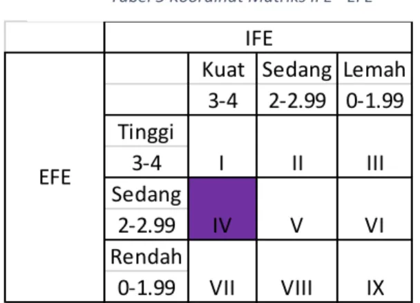 Tabel 5 Koordinat Matriks IFE - EFE 