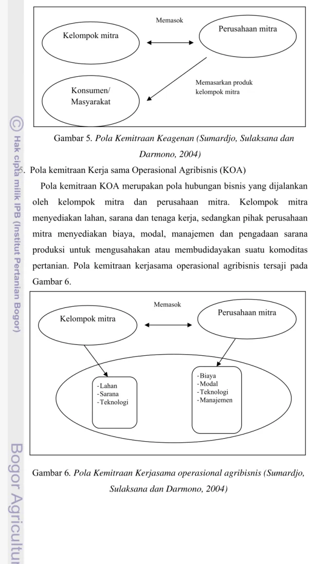 Gambar 6. Pola Kemitraan Kerjasama operasional agribisnis (Sumardjo,  Sulaksana dan Darmono, 2004) 