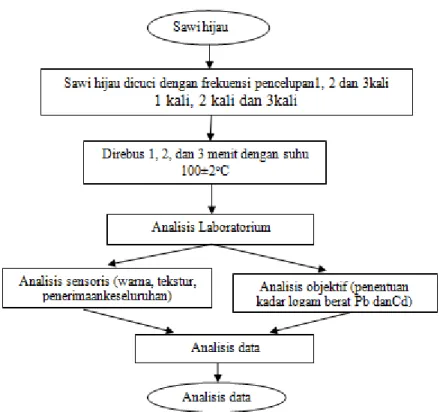 Diagram alir proses pelaksanaan penelitian dapat dilihat pada Gambar 2. 