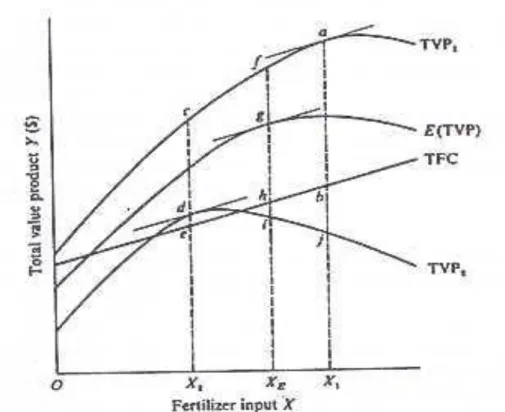 Gambar  di atas mengilustrasikan 3 kurva respon yang berbeda dari output terhadap satu  input  variabel  (pupuk  nitrogen)  dalam  nilai  moneter  TVP,  sehingga  dapat  diperoleh  gambaran  profit  dan  kerugian