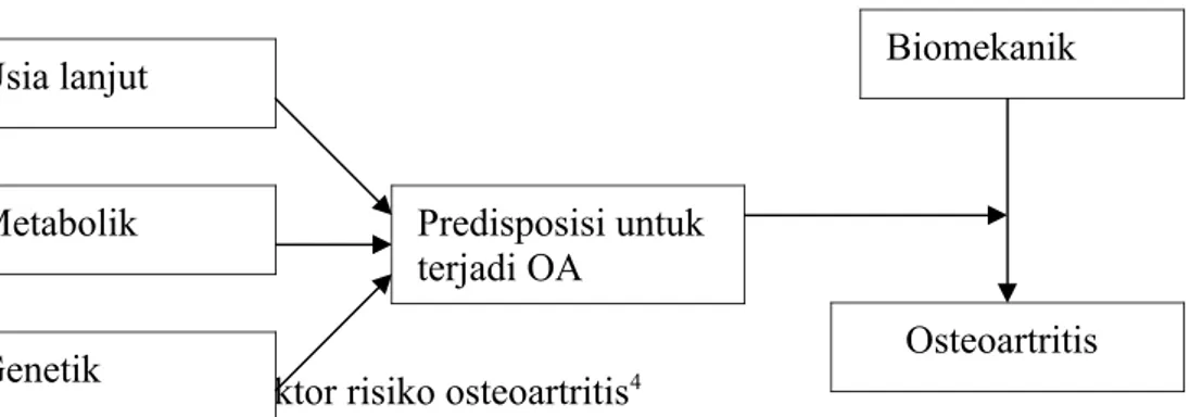 Gambar 1. Skema faktor risiko osteoartritis 4Usia lanjutMetabolikGenetik  Predisposisi untuk terjadi OA Biomekanik       Osteoartritis 