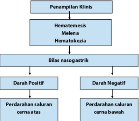 Gambar 1.  Penentuan  letak  perdarahan  saluran  cerna. 4