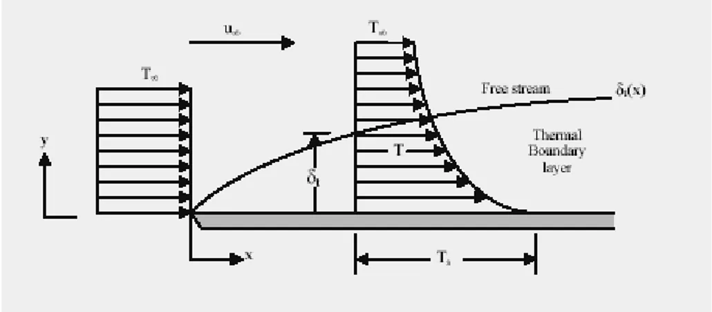 Gambar 2.4. Profil suhu lapis batas termal  (Incropera, F.P. and DeWitt, D.P., 1996)