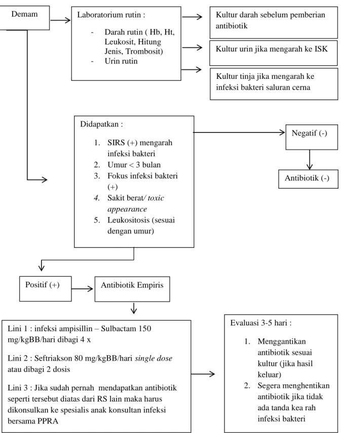 Gambar 1. Algoritme penggunaan antibiotik pada anak di Bangsal Anak RSUP  Dr Kariadi (Dikutip dari pedoman penggunaan antibiotik pada anak) 1