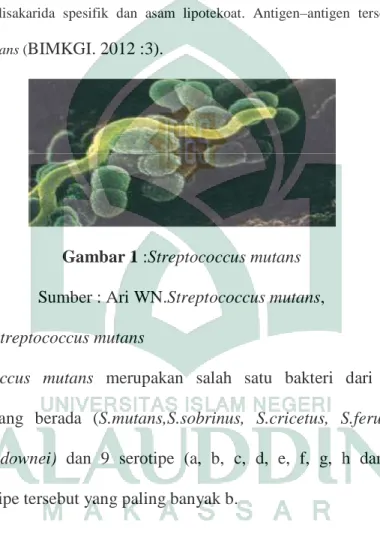 Gambar 1 :Streptococcus mutans  Sumber : Ari WN.Streptococcus mutans,  4.  Klasifikasi Streptococcus mutans 