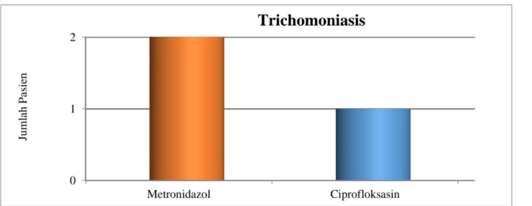 Gambar 13. Diagram Distribusi Pengobatan Pasien Trichomoniasis.