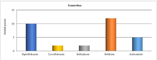 Gambar 7. Diagram Distribusi Pengobatan Pasien Gonorrhea. 