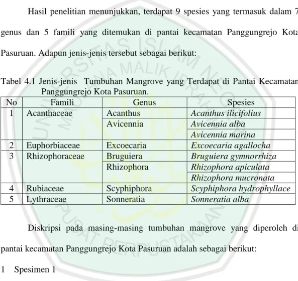 Tabel  4.1  Jenis-jenis    Tumbuhan  Mangrove  yang  Terdapat  di  Pantai  Kecamatan  Panggungrejo Kota Pasuruan