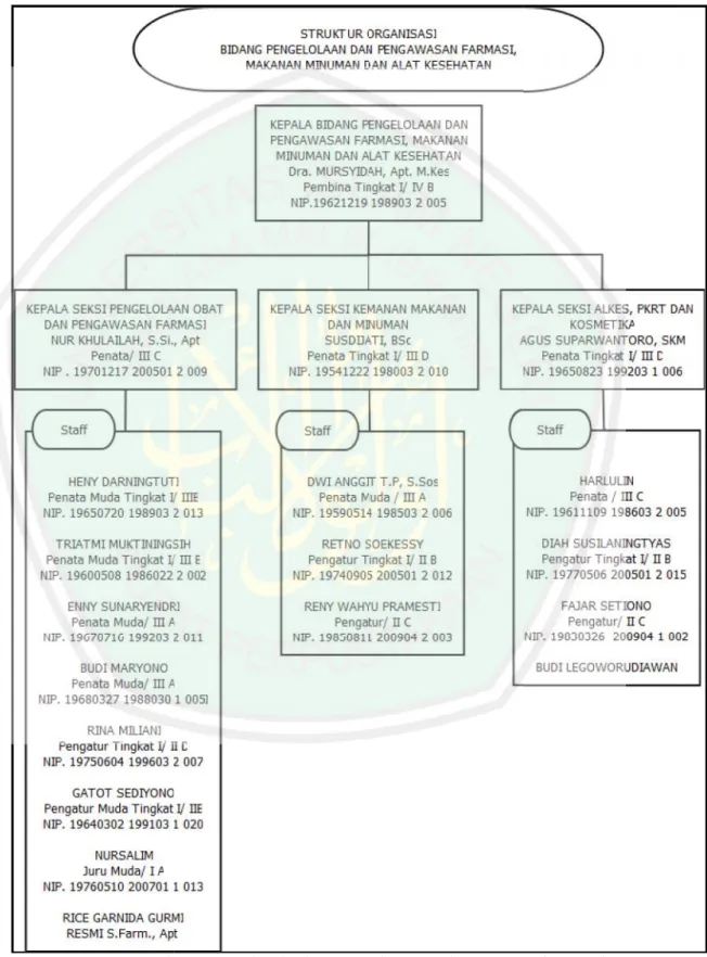 Gambar 2.7 Struktur Organisasi Dinas Kesehatan Kabupaten Malang (Dinas Kesehatan Kabupaten Malang, 2010:117)