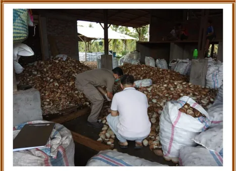 Gambar  3.  Pemeriksaan  karantina  untuk  kopra,  salah  satu  komoditas unggulan Maluku Utara 