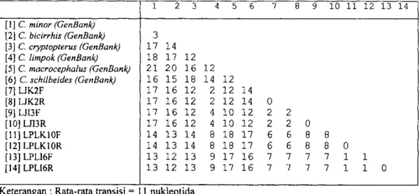 Tabel 3. Substitusi transisi basa nukleotida ke 1, 2 dan 3 pada gen sitokrom-b  parsial Cryptopterus spp