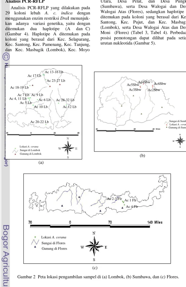 Gambar 2  Peta lokasi pengambilan sampel di (a) Lombok, (b) Sumbawa, dan (c) Flores.                                                                    