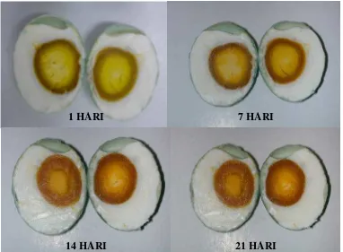 Gambar 5.  Kemasiran Kuning Telur Asin pada Pengasinan Umur Telur yang         Berbeda 