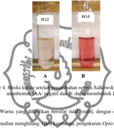 Gambar 4. Media kultur setelah penambahan reagen Salkowski, A: tidak dapat                   membentuk IAA/ negatif dan B: dapat membentuk IAA/ positif