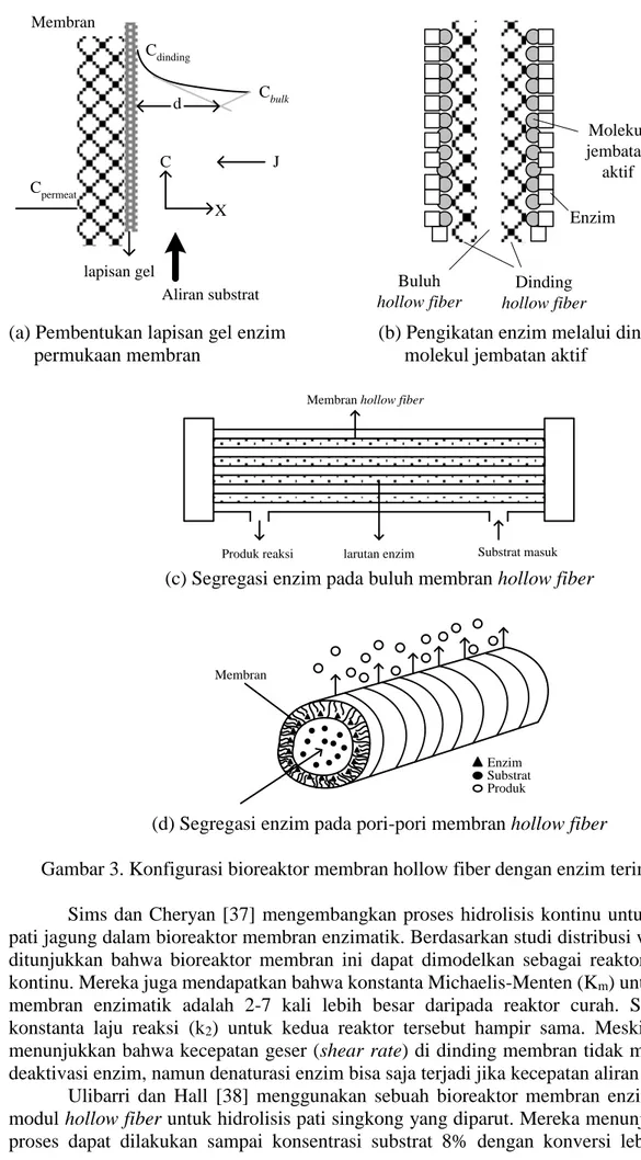 Gambar 3. Konfigurasi bioreaktor membran hollow fiber dengan enzim terimobilisasi  Sims  dan Cheryan  [37]  mengembangkan proses  hidrolisis kontinu untuk sakarifikasi  pati jagung dalam bioreaktor membran enzimatik