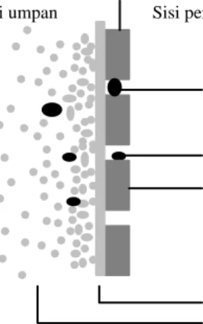 Gambar 4 menyajikan ilustrasi skematik berbagai jenis tahanan hidraulik yang dapat  terjadi dalam proses ultrafiltrasi