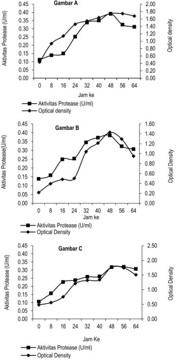 Gambar 2.  Pengaruh  pH  pada  aktivitas  protease  dari  isolat  bakteri  tanah rawa  