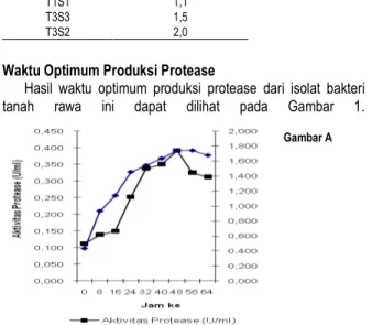 Tabel 1. Hasil uji proteolitik bakteri dari tanah rawa 