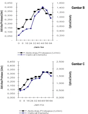 Gambar  2.  Pengaruh  pH  pada  aktivitas  protease  dari  isolat  bakteri tanah rawa  