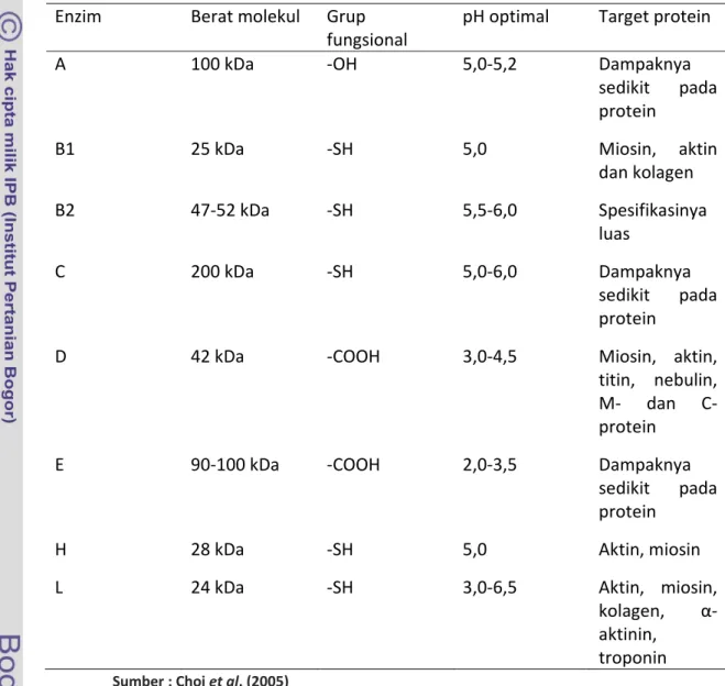 Tabel  1.  Beberapa  sifat  proteinase  lisosomal,  katepsin  A‐L  yang  ditemukan  pada otot 