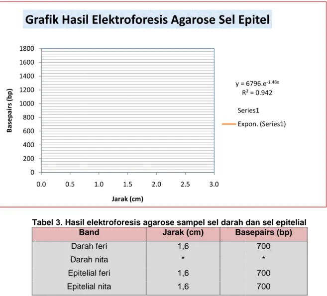 Tabel 3. Hasil elektroforesis agarose sampel sel darah dan sel epitelial Band Darah  Darah nita Epitelial feri Epitelial nita