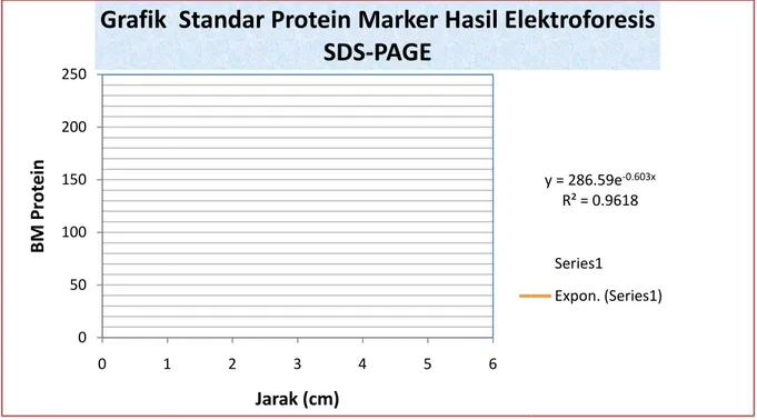 Tabel 9. Hasil Elektroforesis SDS