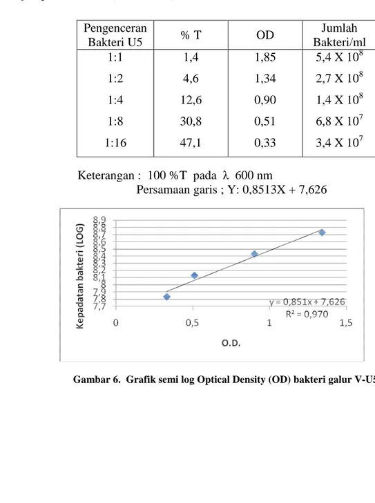 Tabel 4. Hasil pengukuran Optical Density (OD) bakteri galur V-U5 yang dikultur 18 -24  jam pada media LB (luria bertani)