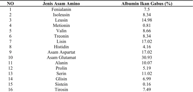 Tabel 2.  Kadar asam amino dalam albumin yang terdapat 100 gram dari setiap gram bagian yang dapat  dimakan Ikan gabus