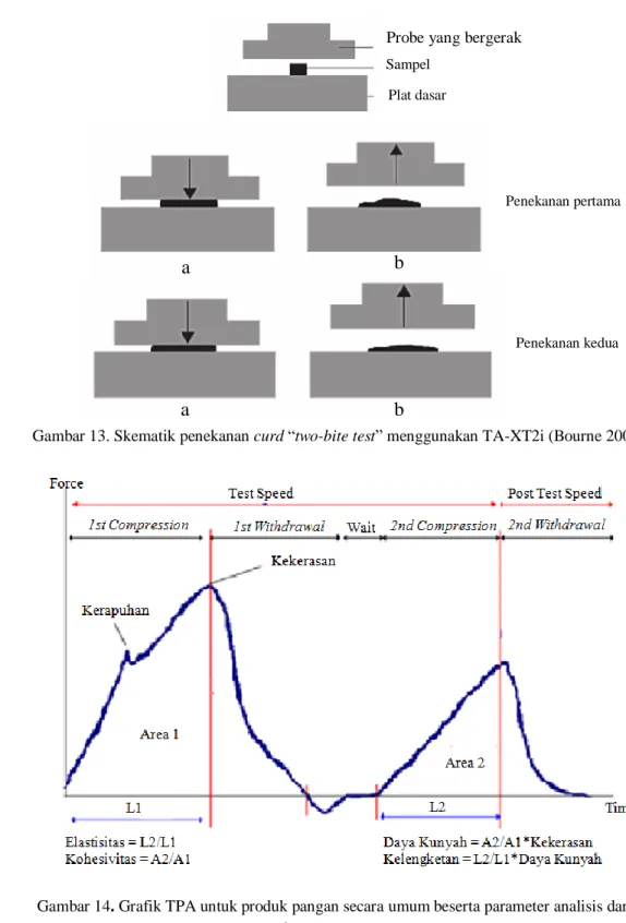 Gambar 13. Skematik penekanan curd “two-bite test” menggunakan TA-XT2i (Bourne 2002) 