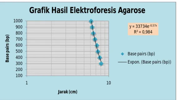 Gambar 1. Grafik hasil elektroforesis agarose 