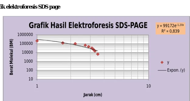 Grafik Hasil Elektroforesis SDS-PAGE
