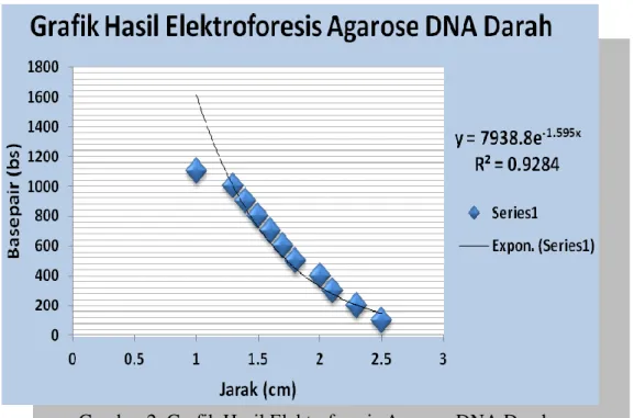 Gambar 2. Grafik Hasil Elektroforesis Agarose DNA Darah 