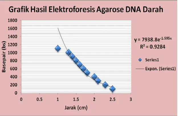 Tabel 2.Hasil elektroforesis sel Epitel 
