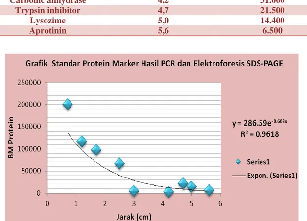 Tabel 3.Jarak Band dan Berat Molekul Protein Marker Hasil PCR dan Elektroforesis  SDS-PAGE 