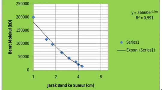 Grafik Hasil Elektroforesis Protein Darah dengan Akrilamid 