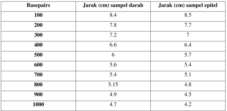 Tabel 1. Data Jarak band marker Basepairs (bp) dari garis well (sumur). 