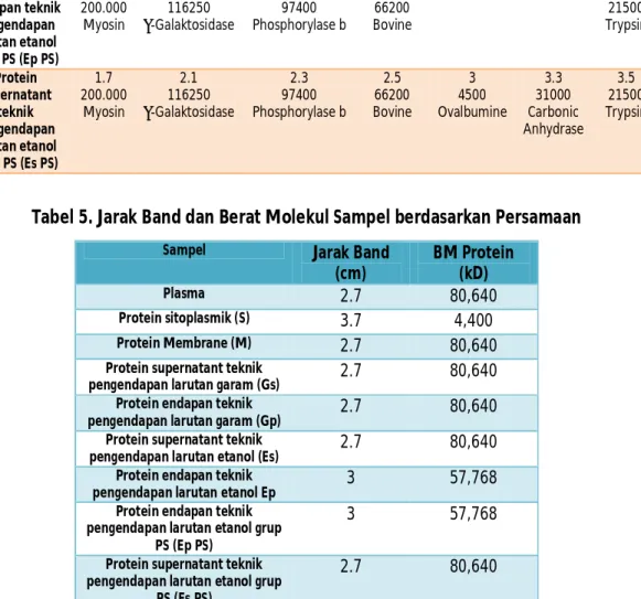 Tabel 5. Jarak Band dan Berat Molekul Sampel berdasarkan Persamaan 