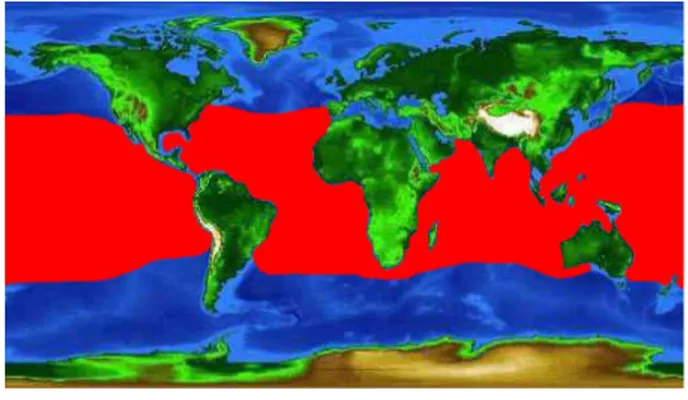 Gambar 5  Peta penyebaran tuna sirip kuning di dunia. 