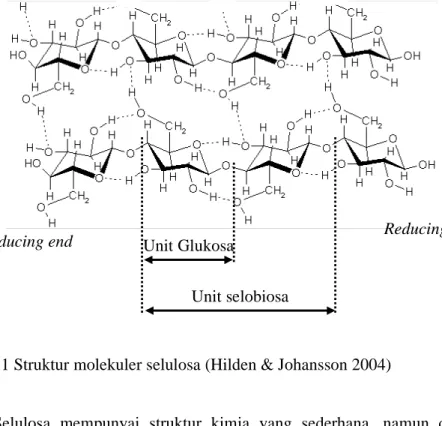 Gambar 1 Struktur molekuler selulosa (Hilden &amp; Johansson 2004) 