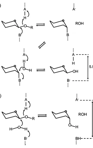 Gambar 2  Mekanisme  hidrolisis  oleh  selulase.  (a).  Retaining  mechanism  (b). 