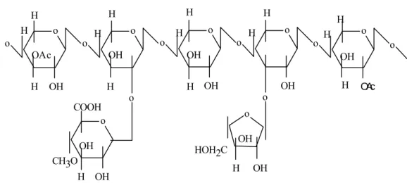 Gambar 1. Struktur molekul Xilan  