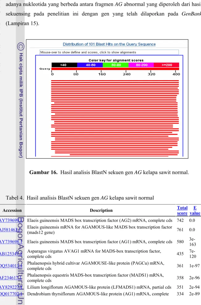 Tabel 4.  Hasil analisis BlastN sekuen gen AG kelapa sawit normal 