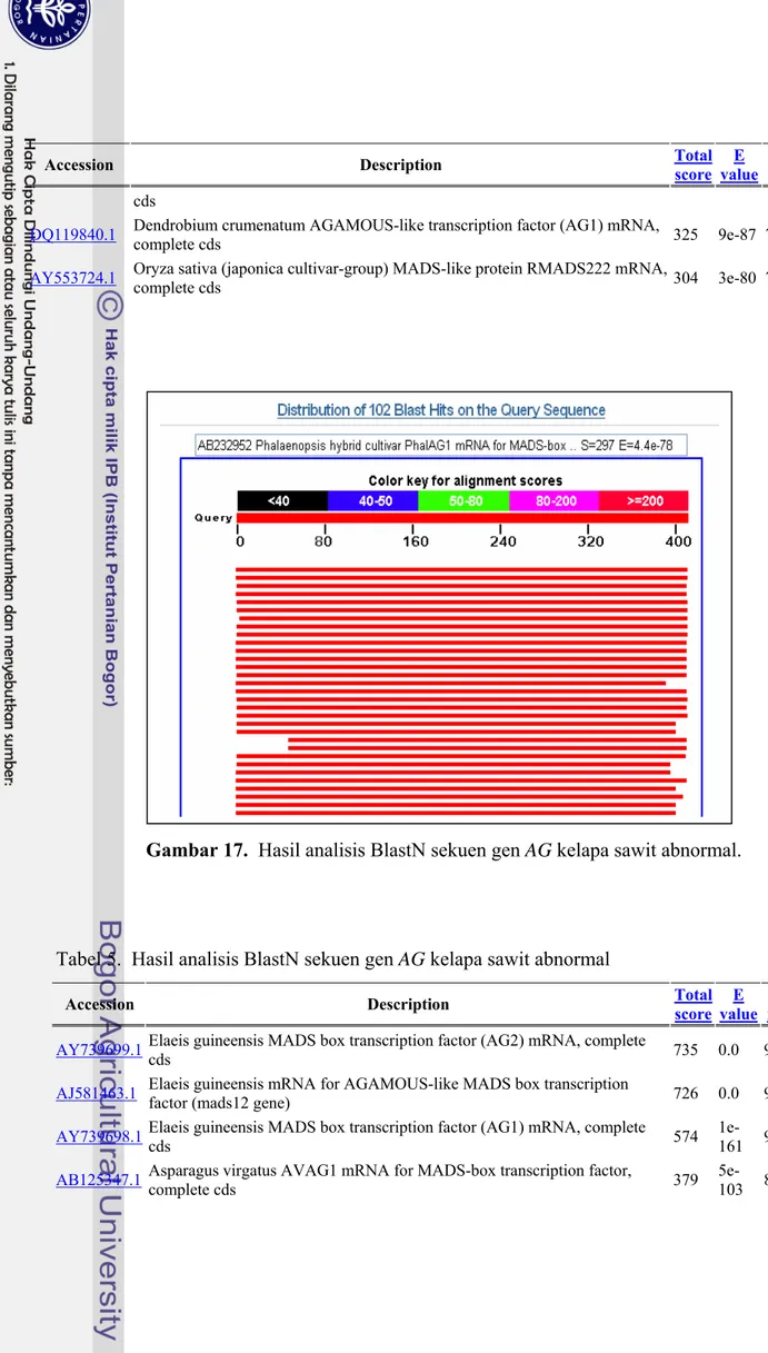 Tabel 5.  Hasil analisis BlastN sekuen gen AG kelapa sawit abnormal   