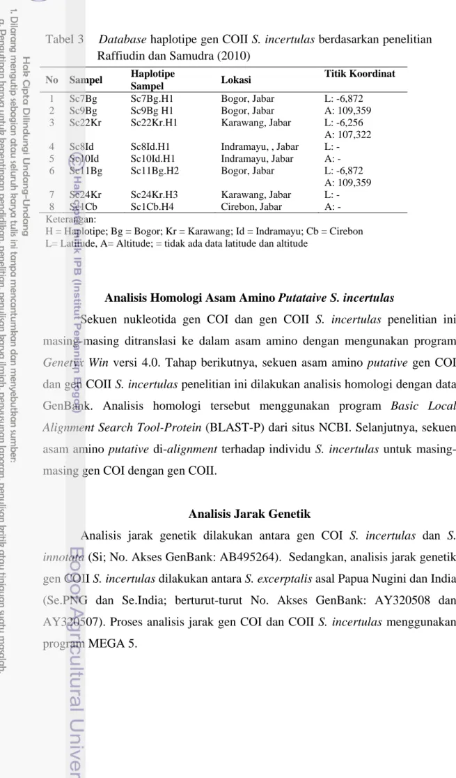 Tabel 3    Database haplotipe gen COII S. incertulas berdasarkan penelitian  Raffiudin dan Samudra (2010) 