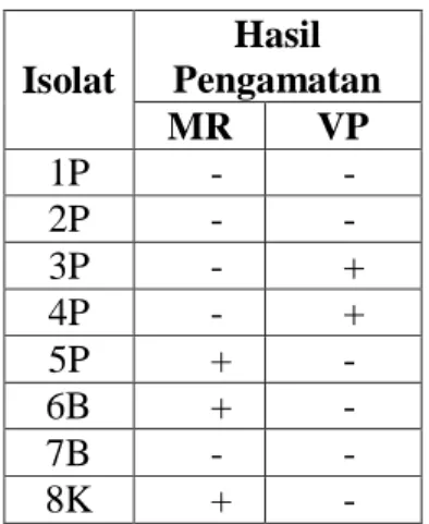 Tabel 6. Hasil pengamatan uji MR  (Methyl Red) dan VP (Voges  Proskauer) isolat sedimen pantai, 